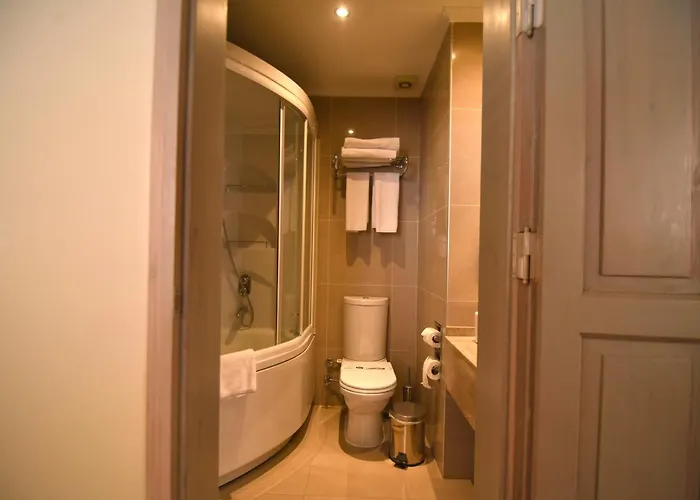 Hotel Alp Pasa Gazetta - Special Class