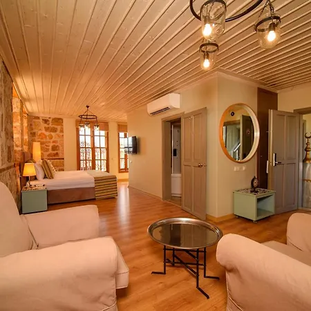 Alp Pasa Gazetta - Special Class