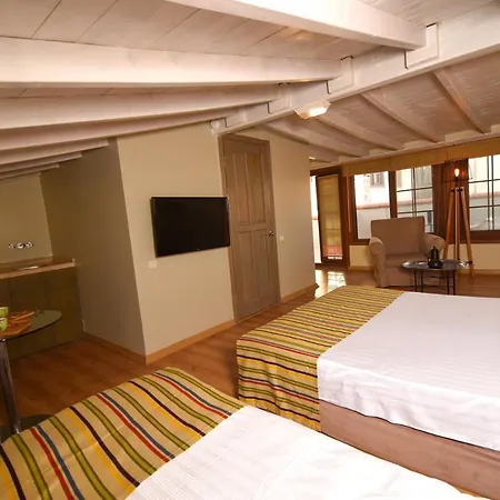 Hotel Alp Pasa Gazetta - Special Class