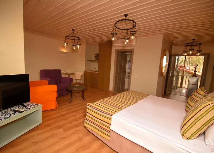 Alp Pasa Gazetta - Special Class