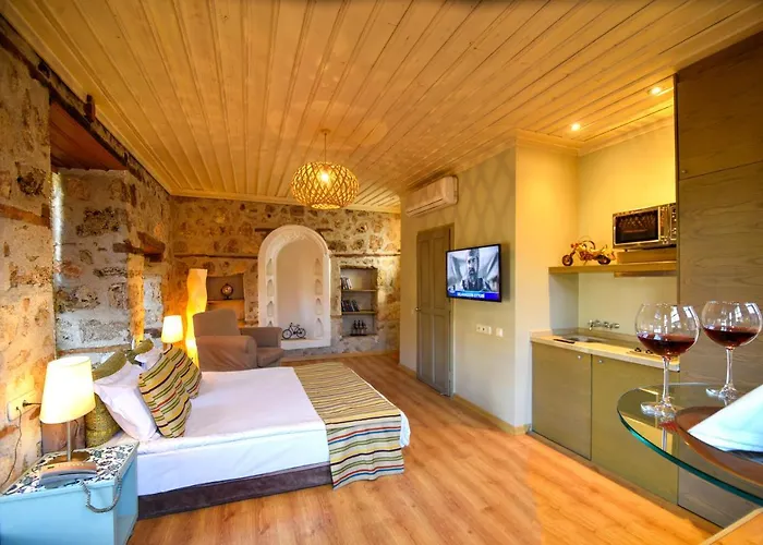 Alp Pasa Gazetta - Special Class