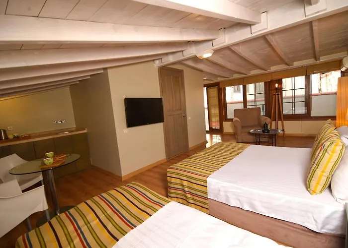 Hotel Alp Pasa Gazetta - Special Class