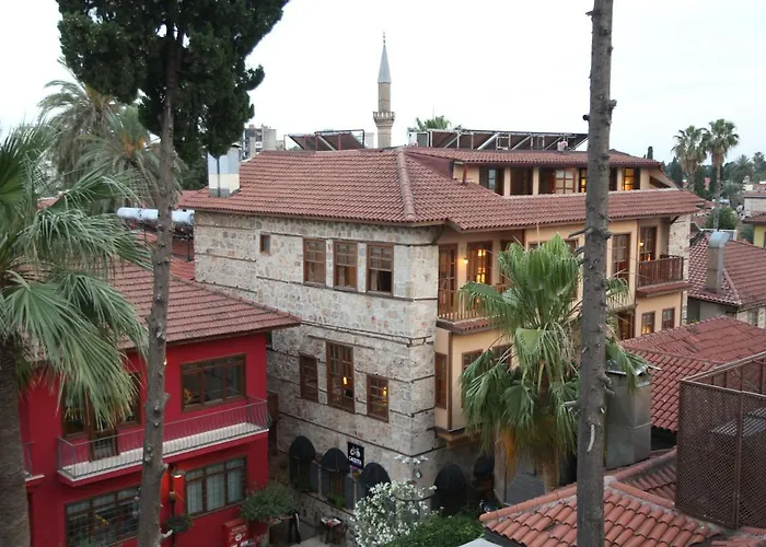 Alp Pasa Gazetta - Special Class